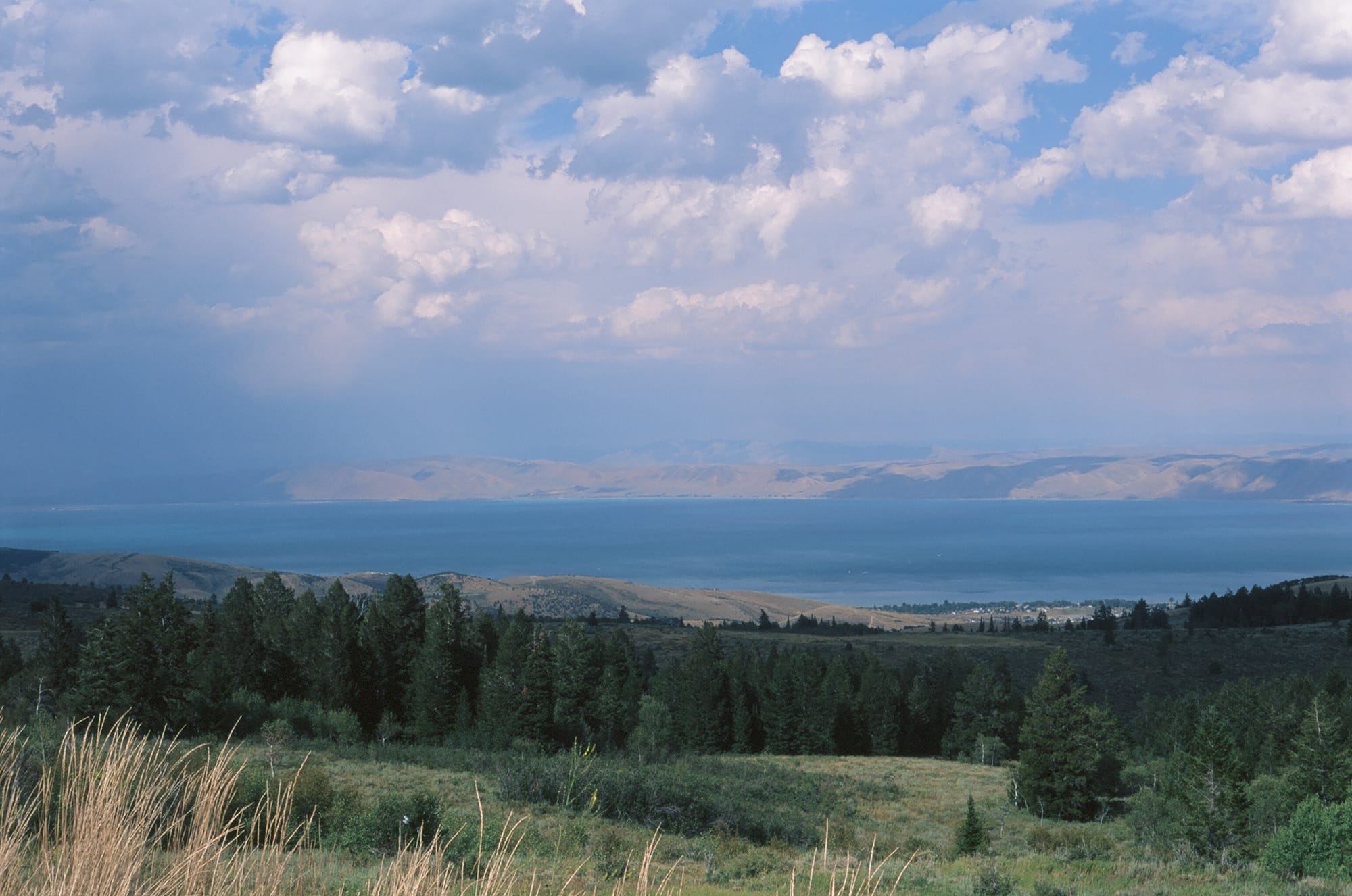 Bear Lake seen from a lookout above the valley, with pine forest in the foreground and storm clouds over the lake