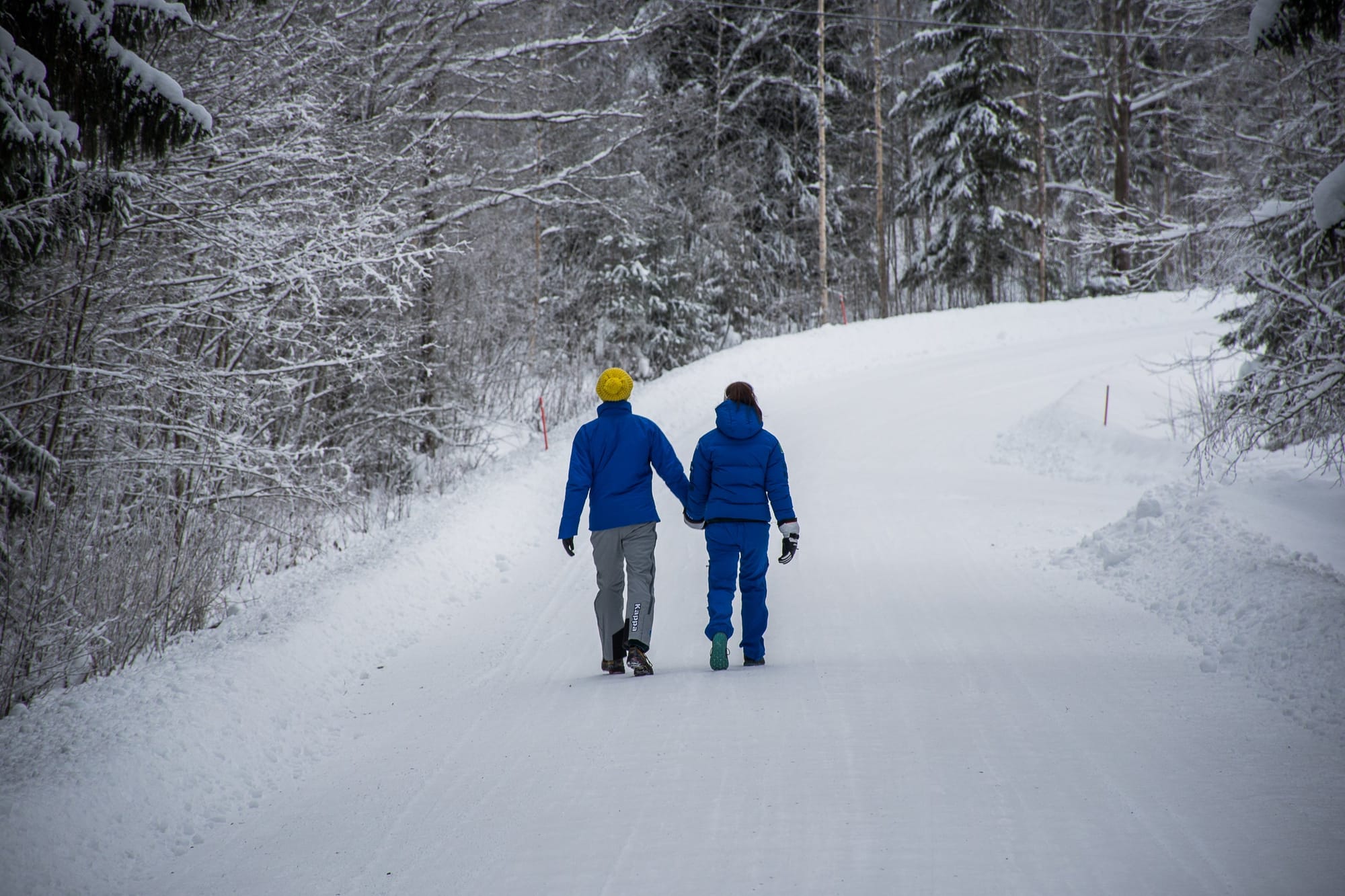 Two people in winter coats walking down a snowy road between pine trees